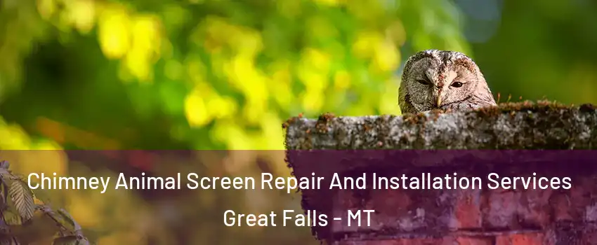  Chimney Animal Screen Repair And Installation Services Great Falls - MT