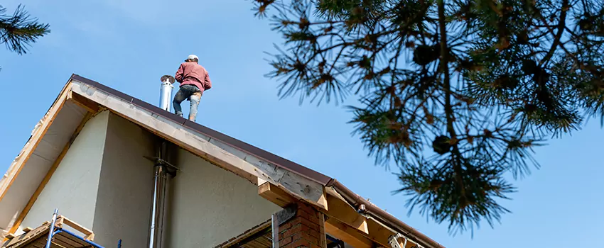 Birds Removal Contractors from Chimney in Great Falls, MT