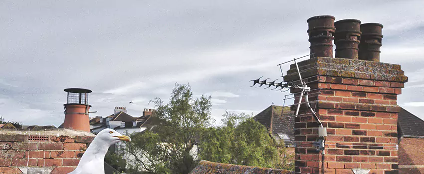Chimney Cleaning And Restoration in Great Falls, Montana