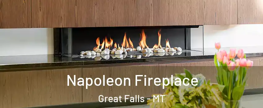  Napoleon Fireplace Great Falls - MT